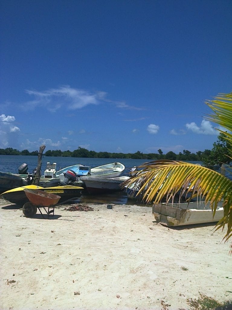 Inician acciones para conservar el sistema lagunar Chacmochuch y Laguna Manatí