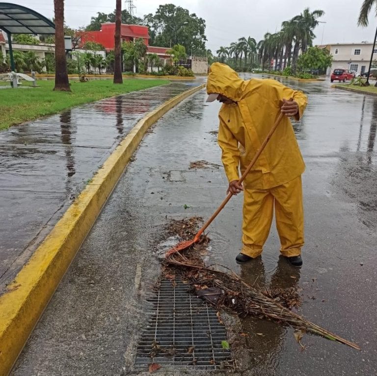 Autoridades de Benito Juárez reforzaron las brigadas para atención de diferentes puntos de la ciudad, tras las lluvias de la madrugada de este viernes, con desazolves así como retiro de basura vegetal y residuos que impidan el correcto funcionamiento de rejillas y captadores.