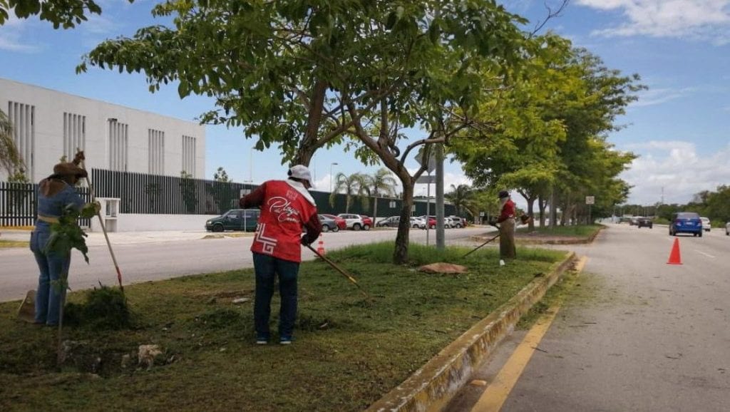 Ahora, tocó el turno de los fraccionamientos Villas del Sol y Misión de las Flores, así como las colonias Colosio, El Pedregal y Gonzalo Guerrero, en donde los trabajadores municipales además retiraron ramas y troncos con vehículos especiales dando continuidad a las Brigadas Manos Solidarias implementadas por la Edil solidarense.