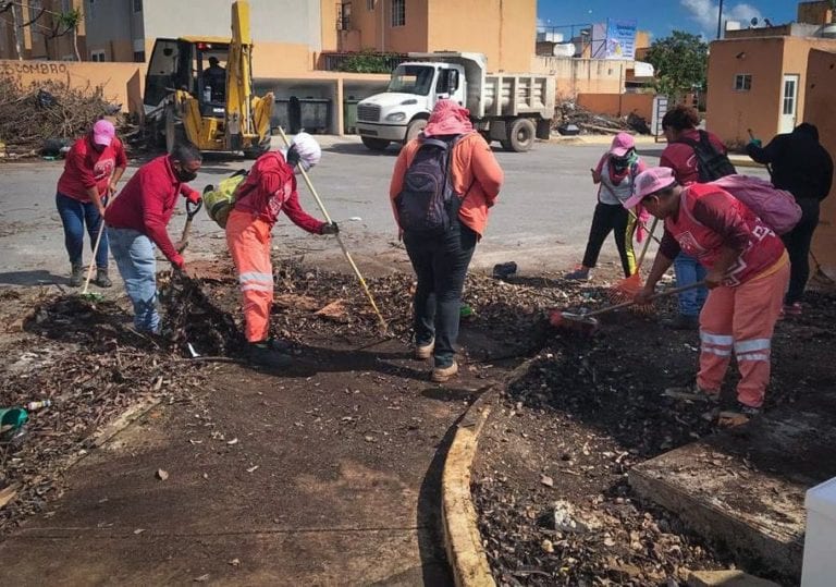 El gobierno de Solidaridad que encabeza la presidenta Laura Beristain Navarrete cuida la belleza de los parques, calles y áreas públicas de este municipio, a través de cuadrillas de la Secretaría de Servicios Públicos, que realizan labores de limpieza en todo el municipio.