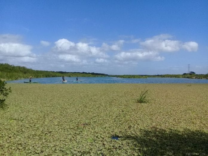 protección de humedales 4