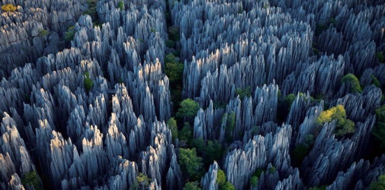 ¡Disfruta del fantástico Bosque de Piedra, una verdadera maravilla natural!