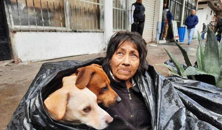 Abuelita construye una ‘casa’ con bolsas plásticas para ella y sus mascotas en Tijuana