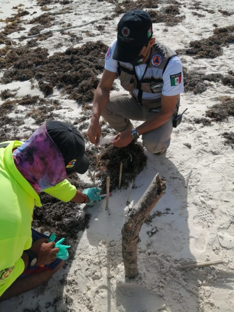 Recala material médico en playa de Tulum