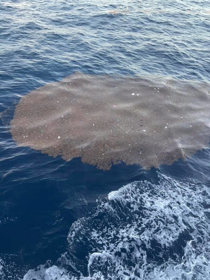 Captan basura flotando entre Cozumel y Playa del Carmen