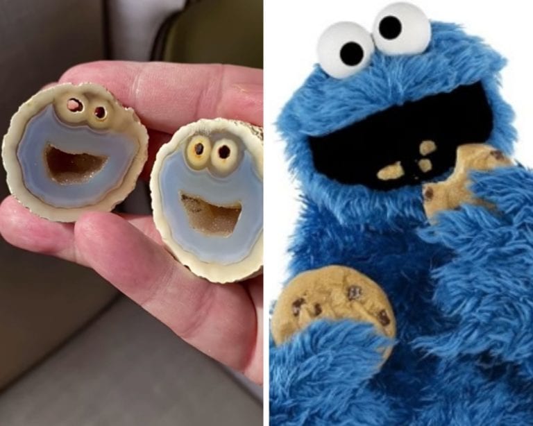 VIDEO: Geólogo encuentra roca idéntica al monstruo come galletas de Plaza Sésamo