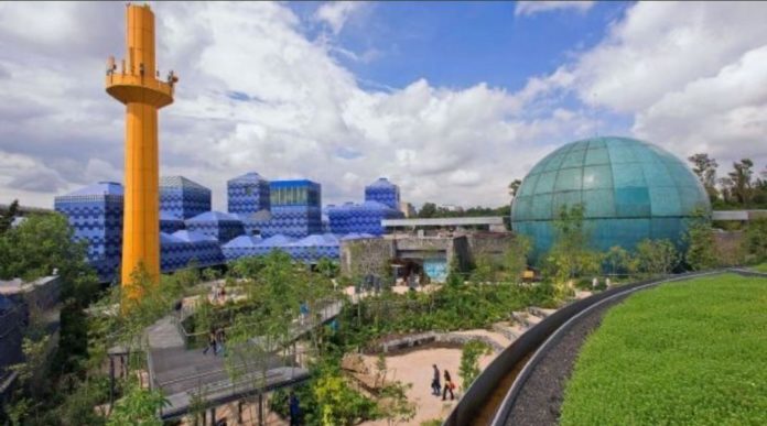 El Papalote Museo del Niño está en riesgo; lanzó una campaña para juntar 50 millones de pesos; de lo contrario cerrará sus puertas