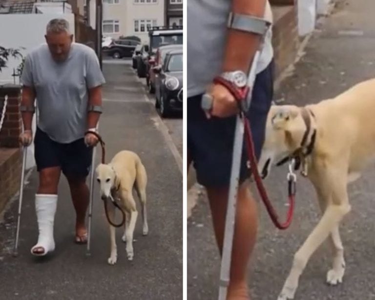 Hombre con lesión gasta más de 7 mil pesos para revisar por que ‘cojeaba’ su perro, el canino lo imitaba