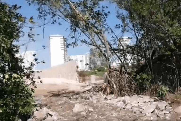 Fonatur, cómplice de ecocidio y delitos patrimoniales