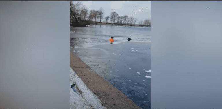 ¡Héroe! Hombre salta a lago congelado para salvar a un perrito