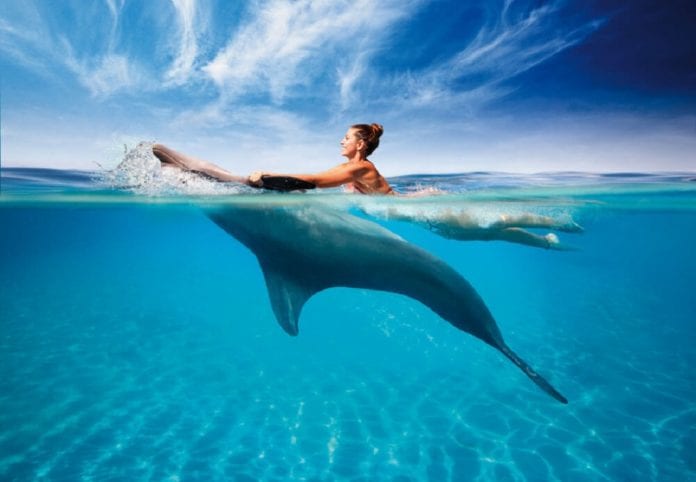 En esta recta de inicio del 2021 se abre más la conciencia del cuidado medio ambiental y de los animales entre la comunidad de Playa del Carmen y para muestra, protectores de animales playenses pidieron en redes sociales no fomentar los nados con delfines, por considerarlos maltrato.