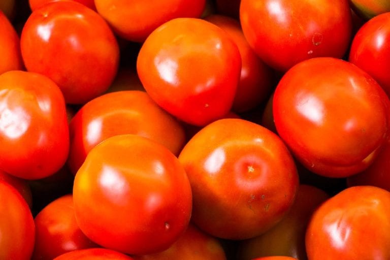 Advierten que la producción de alimentos caería hasta 40% sin el glifosato