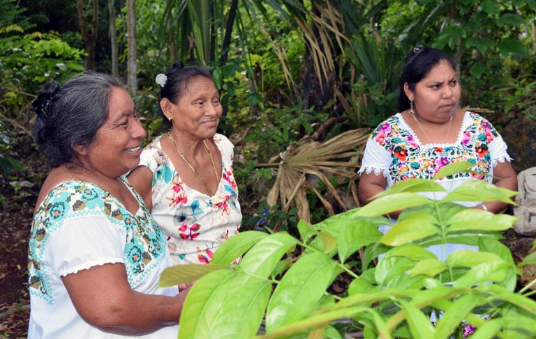 A través del Instituto Quintanarroense de la Mujer (IQM), el Gobierno del Estado, que encabeza Carlos Joaquín, impartió 58 cursos de capacitación para el trabajo y el autoempleo, en beneficio de más de mil 100 mujeres, en oficios no tradicionales.