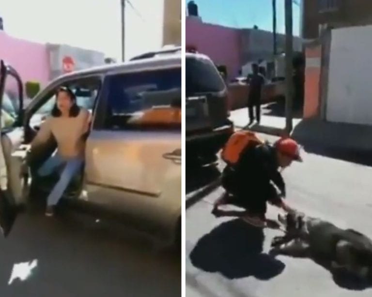 Arrastran a perrito por varias calles en una camioneta en Puebla, conductora dijo ‘no darse cuenta’