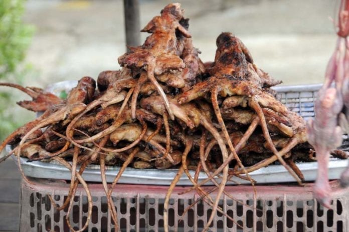 (Video) El caldo de rata de campo, un manjar de Zacatecas