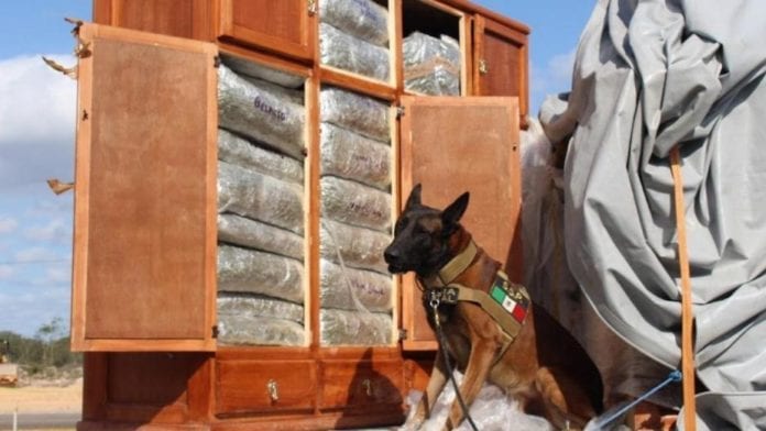 Incautan droga en Yucatán en roperos