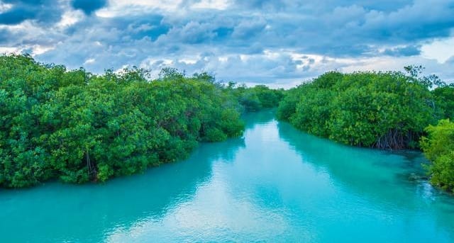 La pandemia paralizó a 15 de las 20 cooperativas turísticas de Maya Ka’an