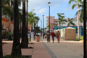 Pese a sus ventajas 1