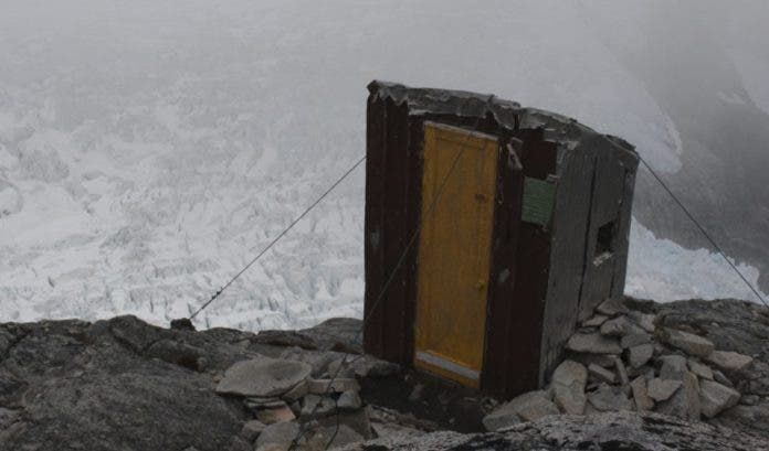 Oso muerde nalga a mujer que fue al baño