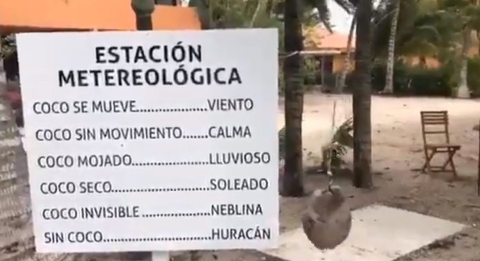 ¿Quieres saber el clima? Un coco te da el estado del tiempo