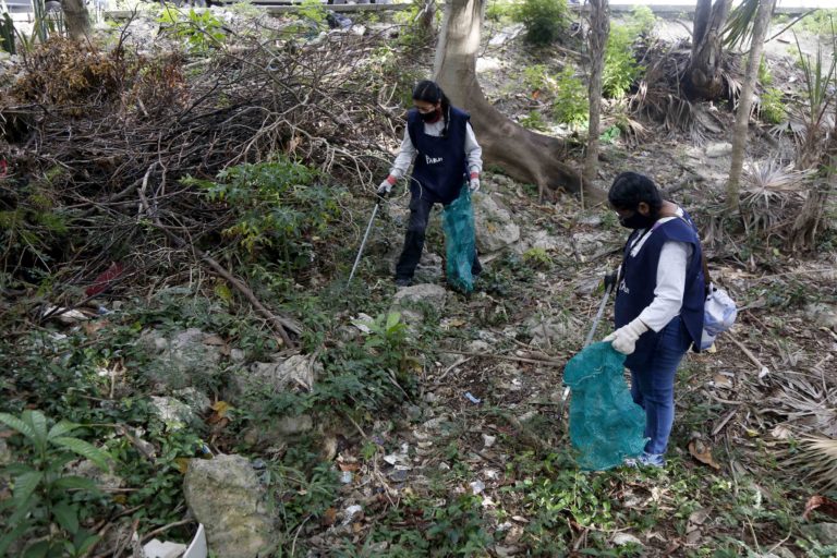 Realizan limpieza en cenote urbano de Cancún