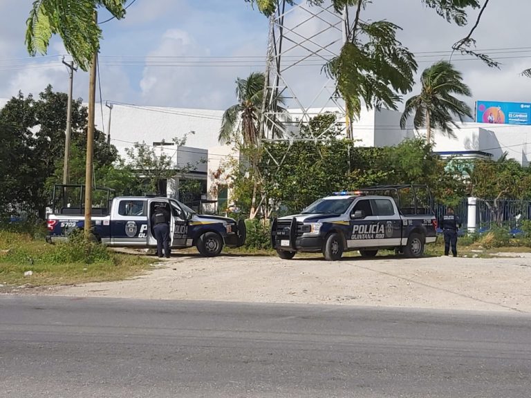 Reportan restos humanos en área verde de Cancún