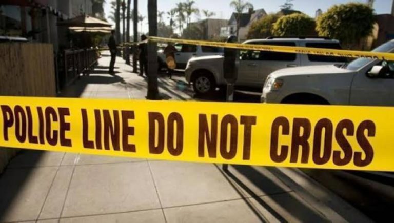 Ladrón ataca a su abuela de 73 años  y niño de 12 años le dispara