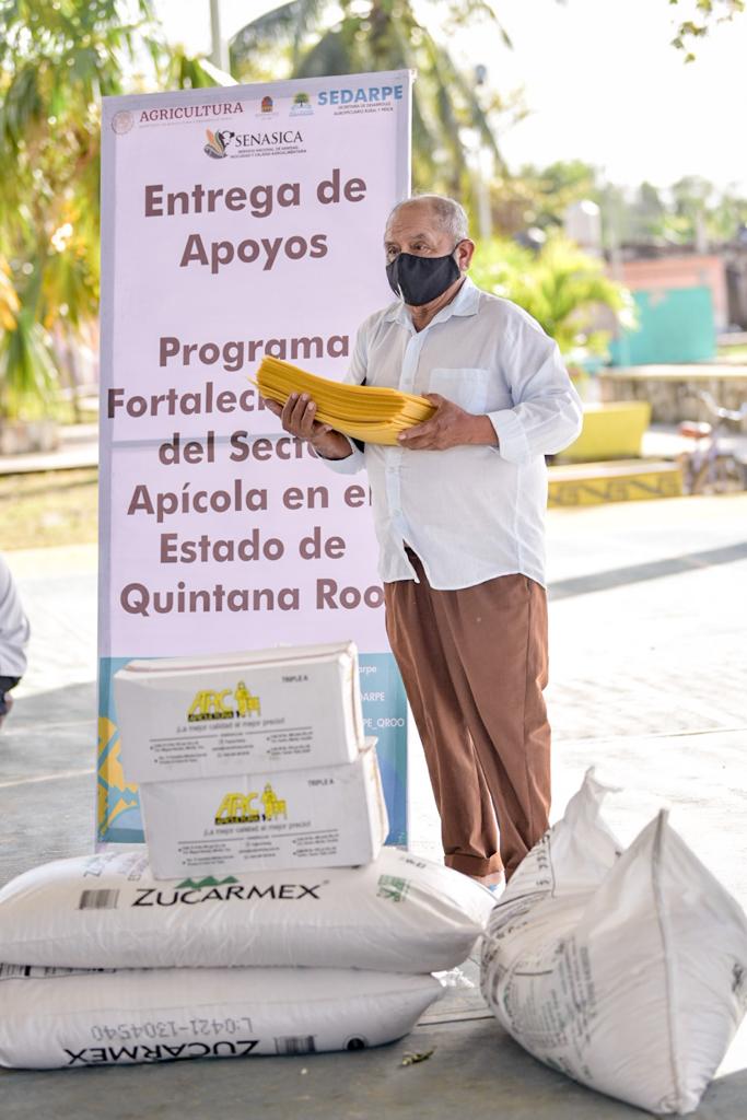 Cinco comunidades de Tulum recibieron más de dos toneladas de azúcar, 132 kilos de alimento protéico, 321 abejas reinas y otros insumos para fortalecer al sector apícola