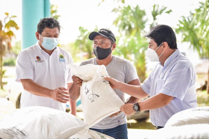 Cinco comunidades de Tulum recibieron más de dos toneladas de azúcar, 132 kilos de alimento protéico, 321 abejas reinas y otros insumos para fortalecer al sector apícola