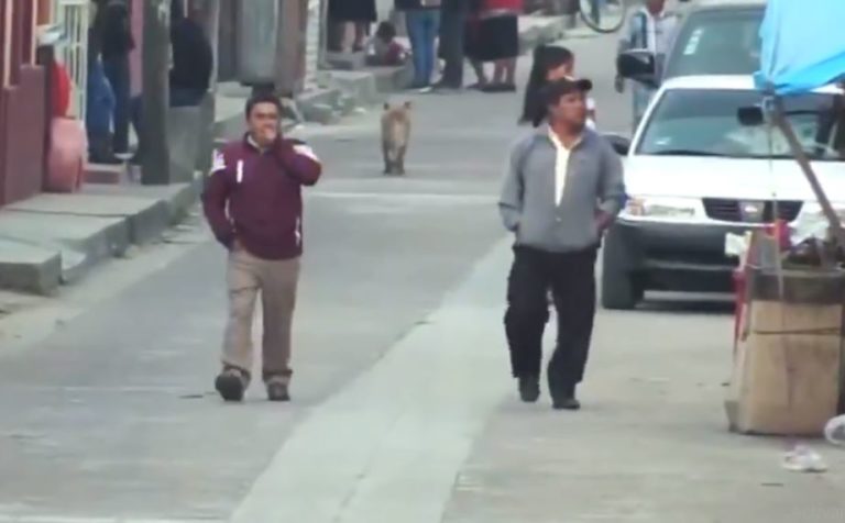 Rechazan aplicación de la vacuna contra el Covid-19 en Chiapas porque ‘Dios los va a salvar’