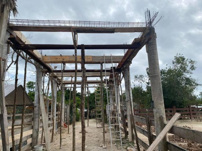 Alistan refugio anti huracanes para perros y animales rescatados en Puerto Morelos.