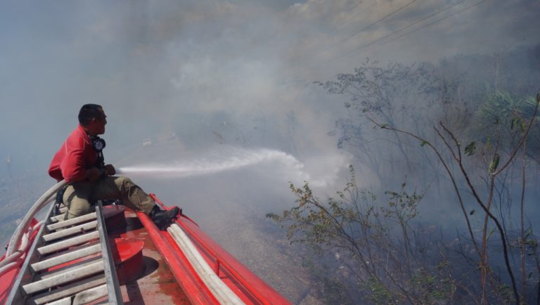 Se prevé que la temporada de incendios forestales en Lázaro Cárdenas será crítica