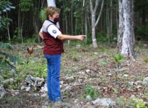 camino rural solidaridad 2