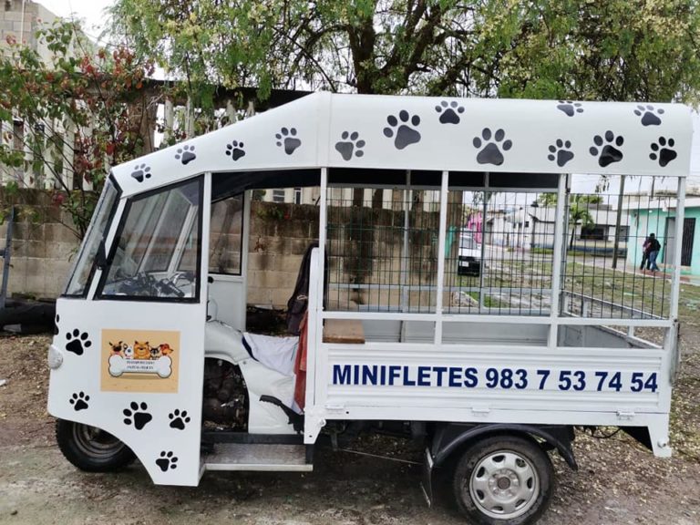 Estos mini fletes perruno brindan servicio en todo Chetumal.