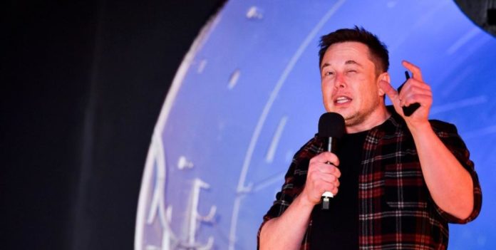 Una empresa del millonario Elon Musk le implantó en microchip a un mono en el cerebro; entérate de qué es lo que esperan con ello