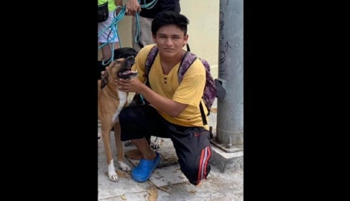 De luto SOS el Arca: asesinan a joven cuidador de animales
