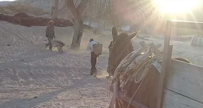 Han sido muy graves los estragos causados por la sequía en Nuevo León y otros estados del norte; los testimonios son desgarradores