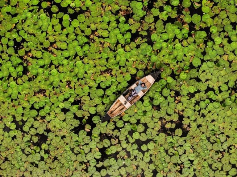 Reserva Nativa, la experiencia ecoturística y cultural que no te puedes perder en Holbox