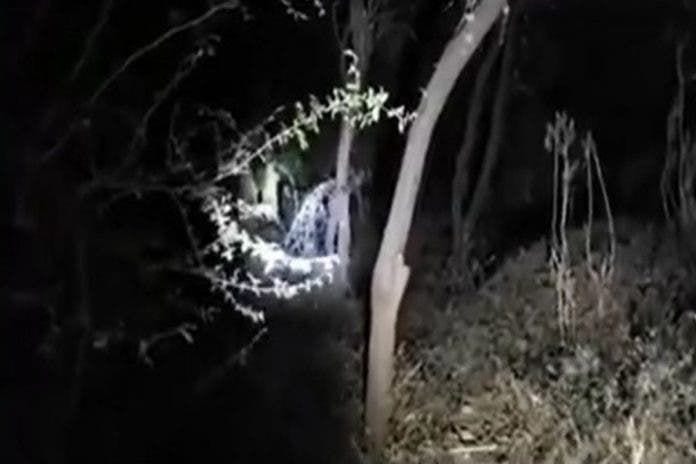 Video: Amigos se sorprenden y a apedrean a 'supuesta bruja' en un bosque mexicano