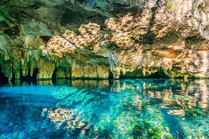 Detectan daños por actividad humana en cenotes de Cancún
