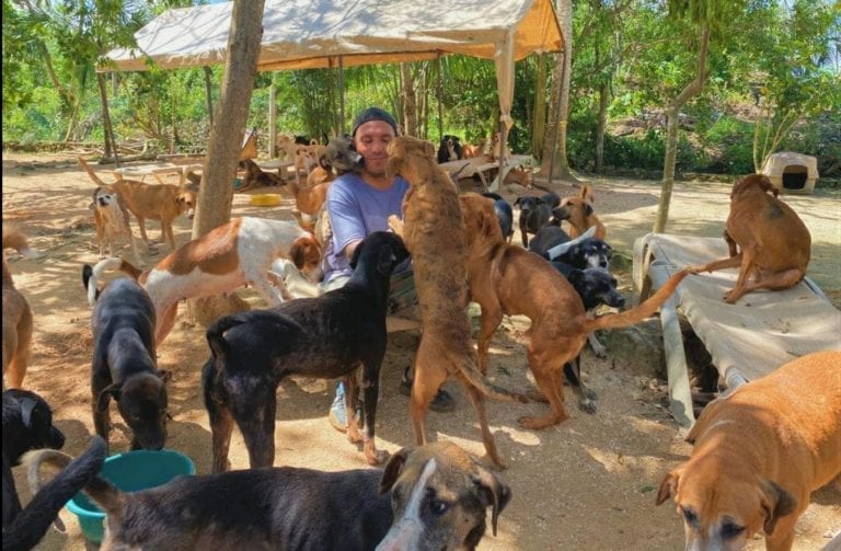 Con violencia intentan despojar de su terreno al Santuario Tierra de Animales en Cancún