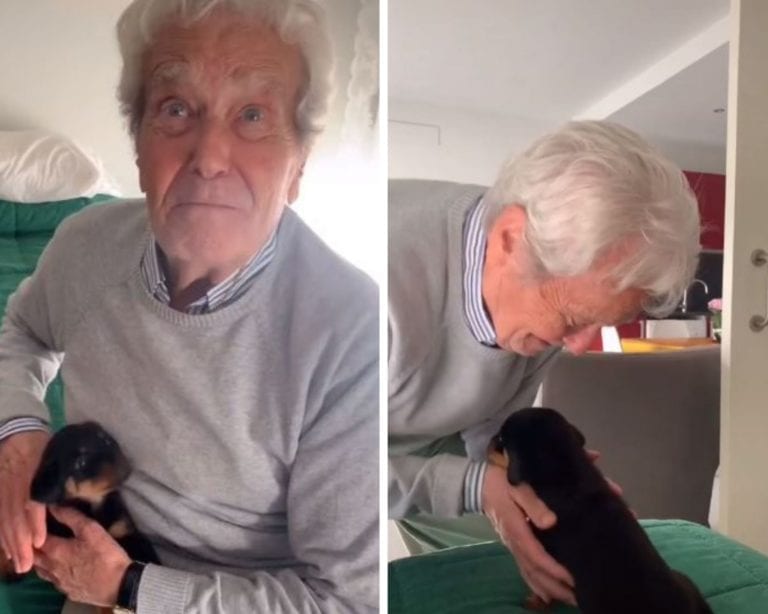 ¡Hermoso! Abuelito se llena de ternura conociendo a su nueva mascota y se vuelve viral