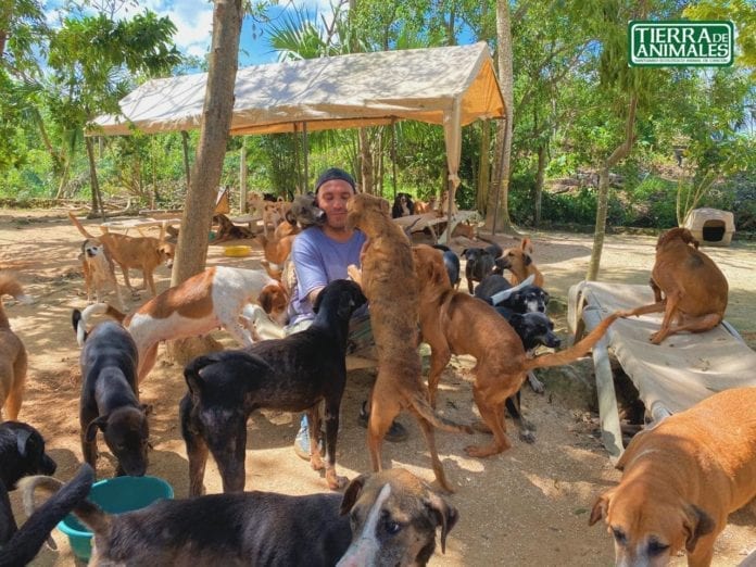 Amenazan al refugio Tierra de Animales; temen intento de despojo similar al de Crococun