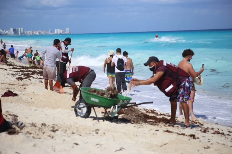 Investigadora advierte que si el sargazo se entierra libera contaminantes