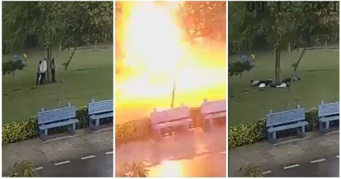 Una cámara captó el momento en que un rayo cae encima de un árbol y fulmina a las cuatro personas que se resguardaban en él