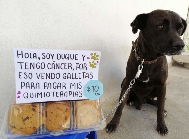 "Duque" vende galletas en Cancún para pagar su tratamiento contra el cáncer