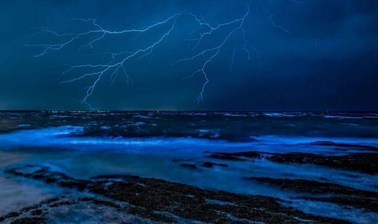 Destinos maravillosos con bioluminiscencia en México que no debes perderte