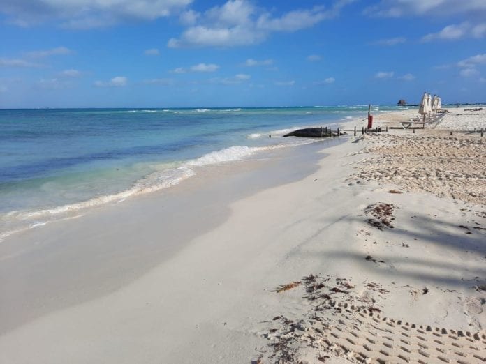Intensifican limpieza de sargazo de playas en Isla Mujeres