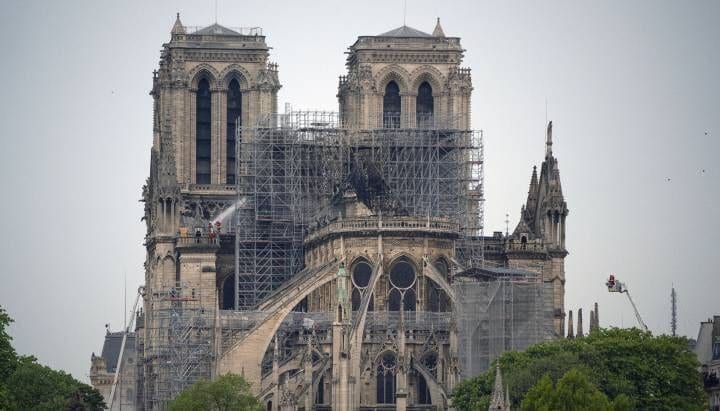 Talarán un millar de robles para la reconstrucción de Notre Dame