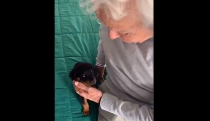 VIDEO: Abuelito de TikTok enternece a las redes sociales cuando le regalan un perrito